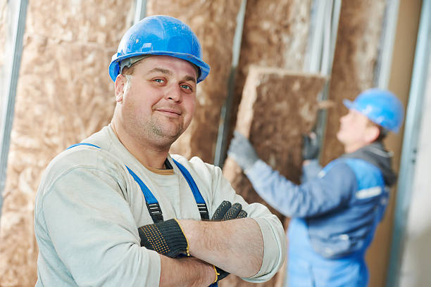 Best Local Insulation Services  in San Juan Pistrano, CA